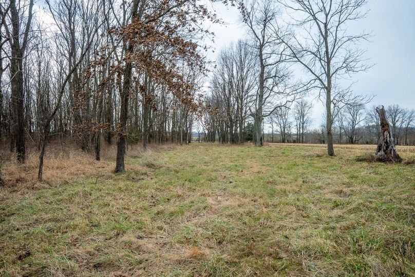 Copy of DSC00717 Large