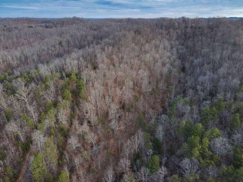 017 aerial view looking over the hollow towards the ridgetop-2