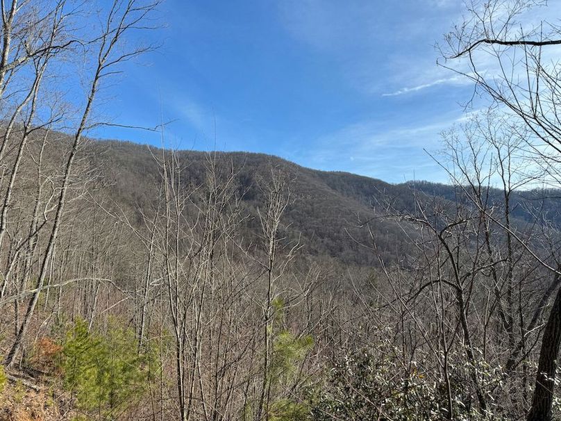 Cherokee 118.85 Harris Top-36