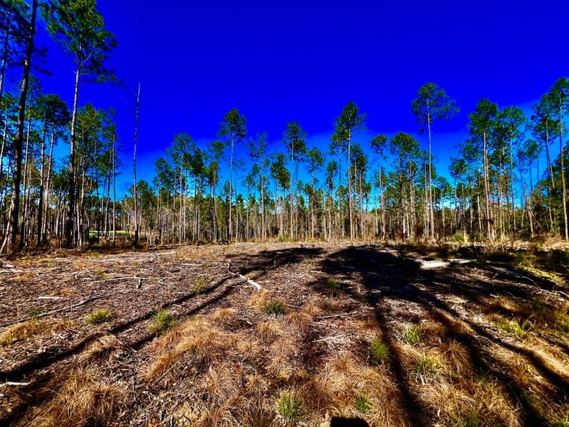 59E0793D-F455-4970-B76F-162C1D644CC2_1_201_a