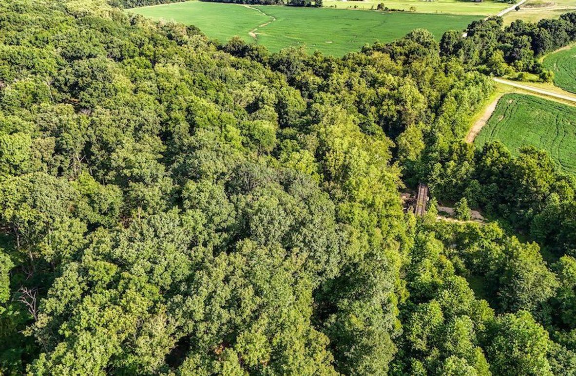 DJI_20250729080242_0094_D