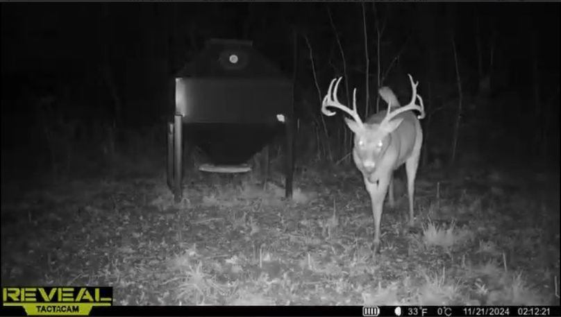 Screenshot_24-1-2026_91012_drive.google.com