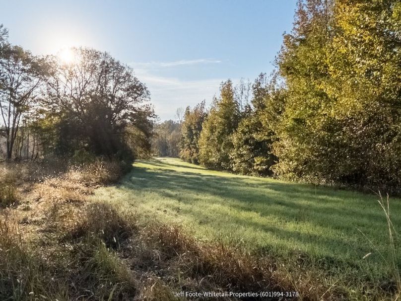Claiborne Co-151-Geronimo-19