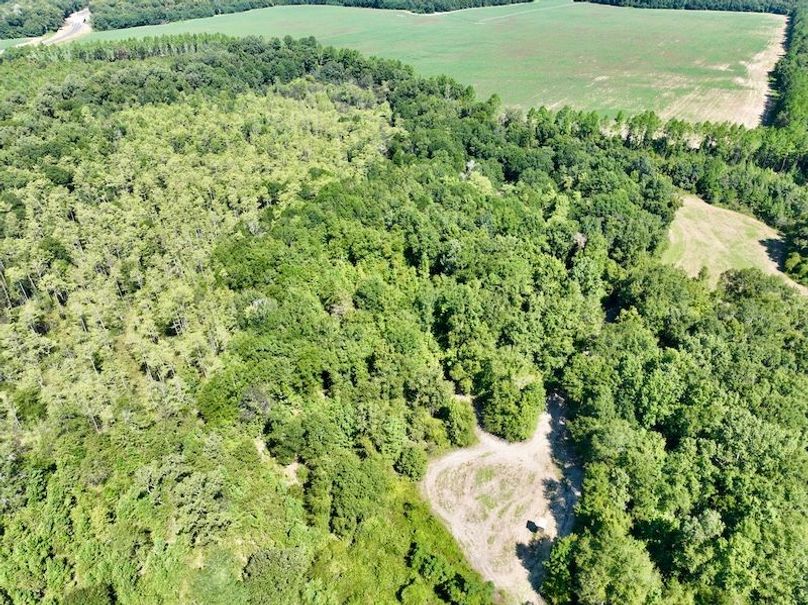 dji_fly_20250903_114628_126_1756914520527_photo