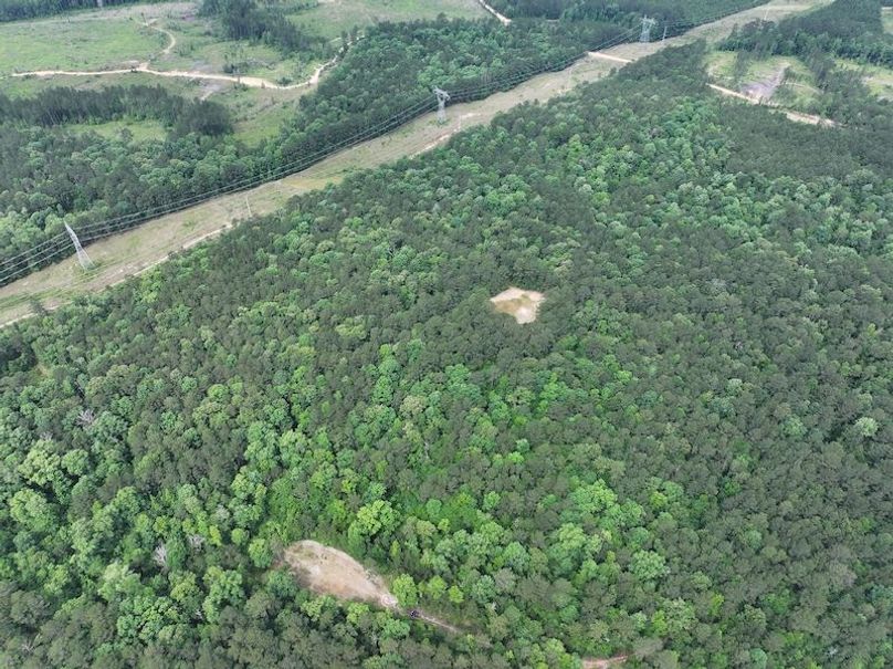 dji_fly_20260518_091046_0163_1779205372260_photo