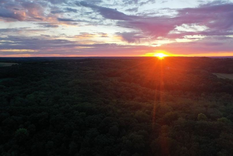 DJI_0281