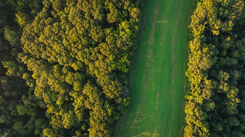 DJI_0104-HDR-2