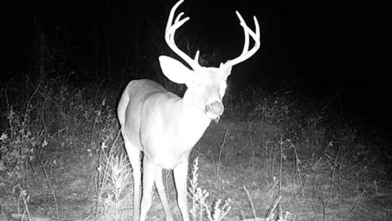 24011402050701011093