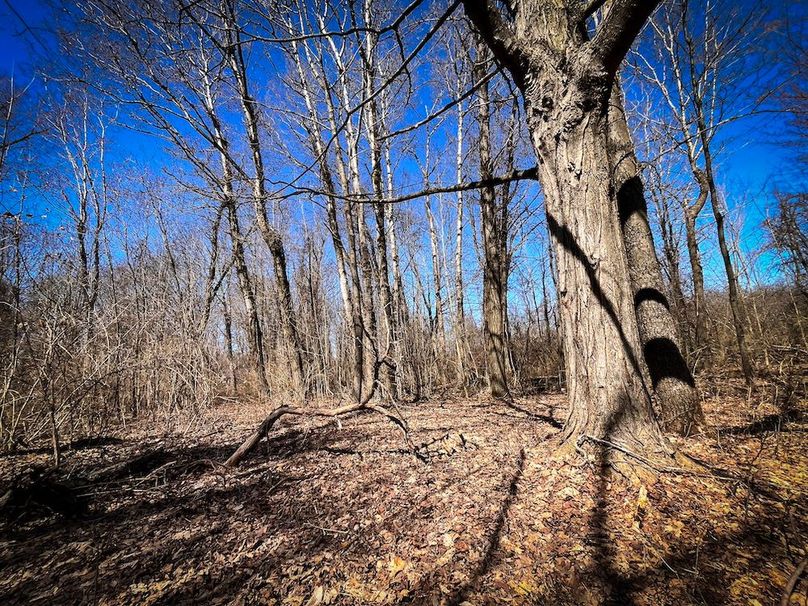 Oswego_13.95_Moore_Bush_Photos_27