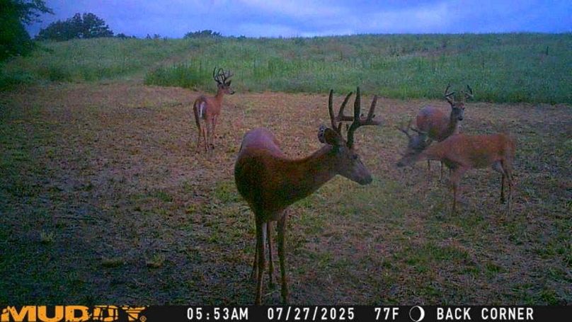 25072705534501002170