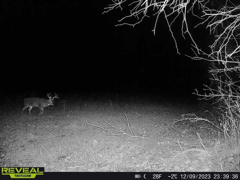 Copy of Trail photos.11