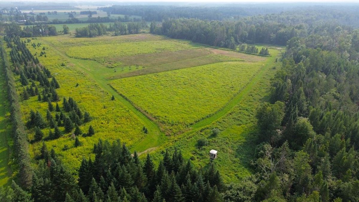 Prime Hunting Tract With Woods, Farmland, Food Plots And Box Blinds ...