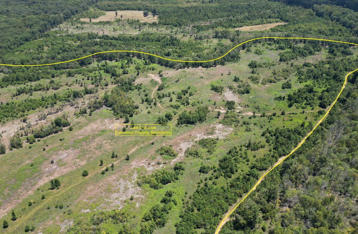 New Pic 5 149 Clarke