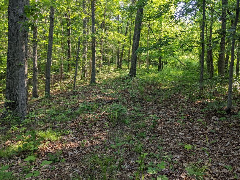 PXL_20230602_132917274