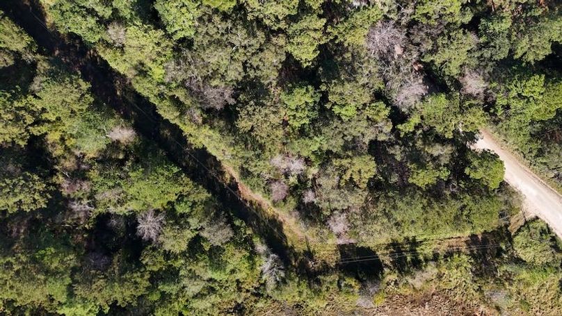 DJI_20251016161309_0009_D