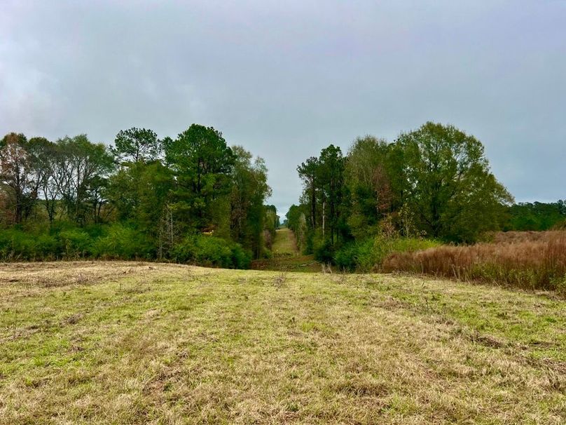 B3AC389D-D670-4388-98AF-6A145F99D6BF_1_201_a