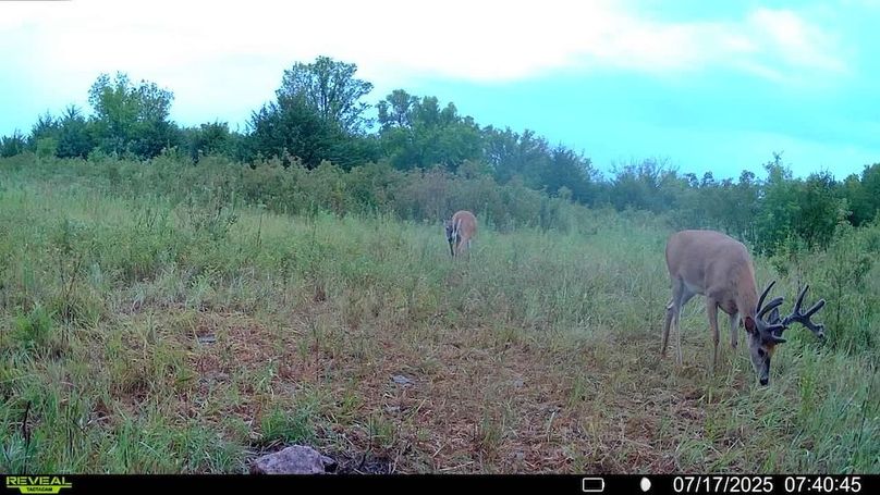 016578004503154-1-3-07172025074045-SYFW11144