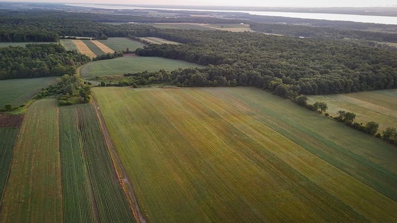 Copy of Wood Tract 3 Photo 17