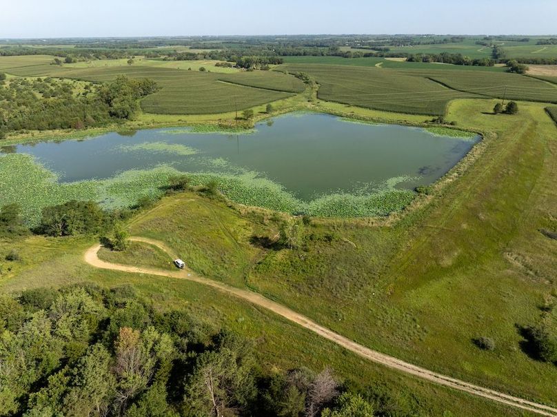 DJI_20250729094736_0003_D