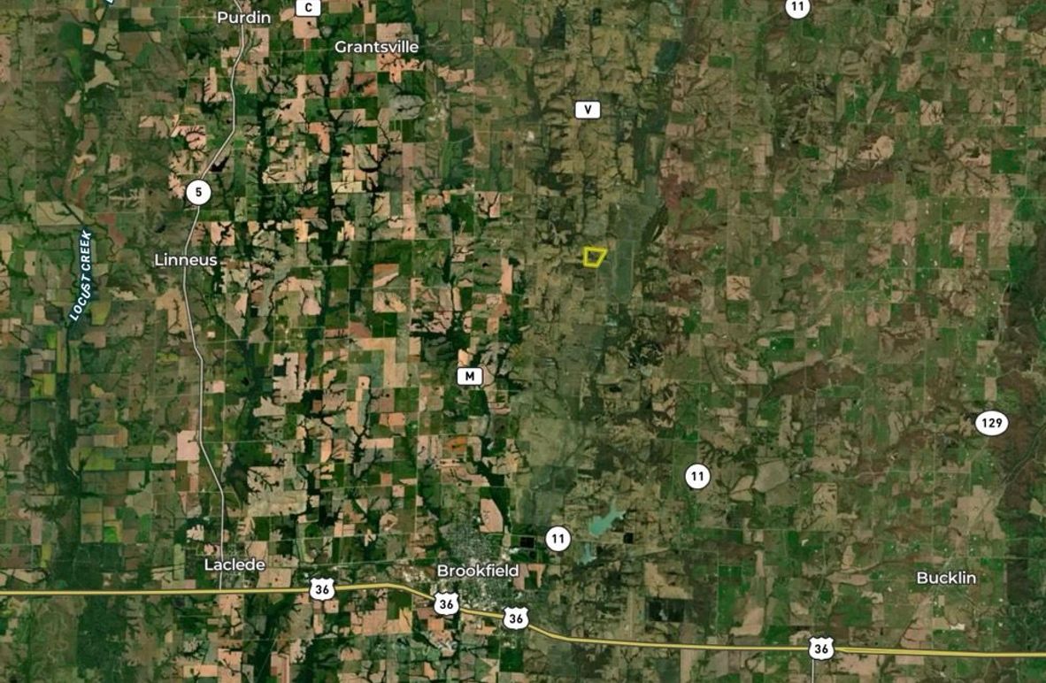 Screenshot 2026-01-28 at 3.34.19 PM