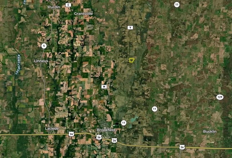 Screenshot 2026-01-28 at 3.34.19 PM