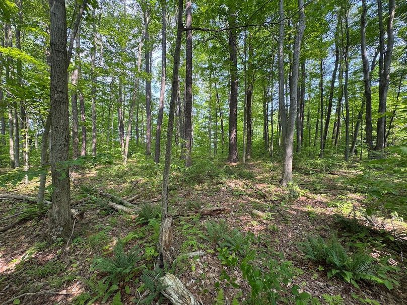 Pleasants, WV 168.59 AC Superior, Swank, Young-063