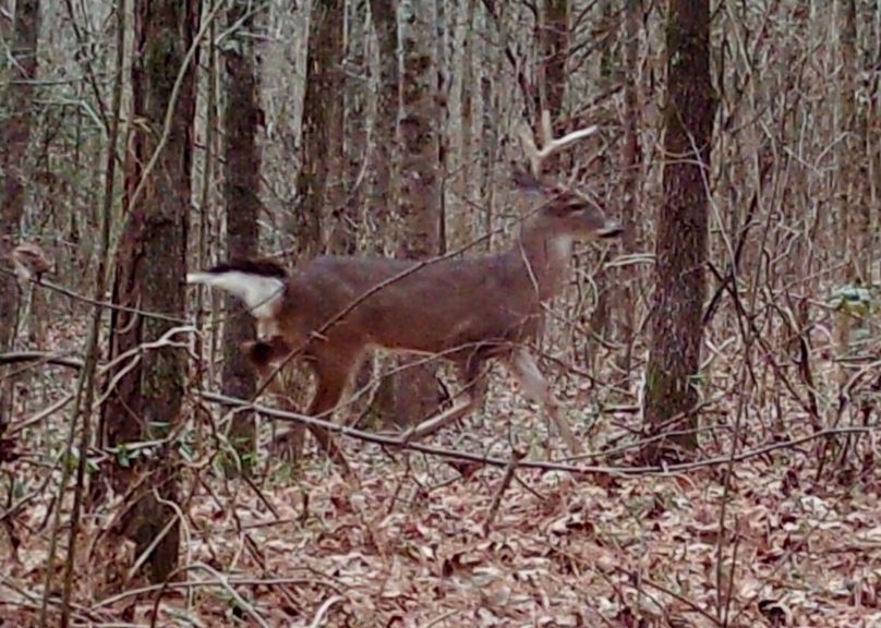 Screenshot_20220126-115458