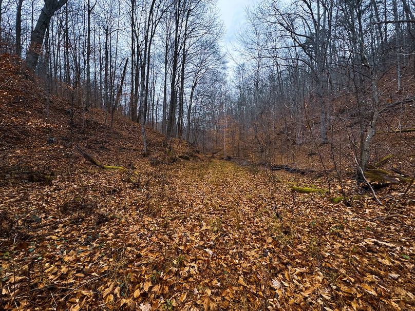 Ritchie, WV 100 AC Harper-47