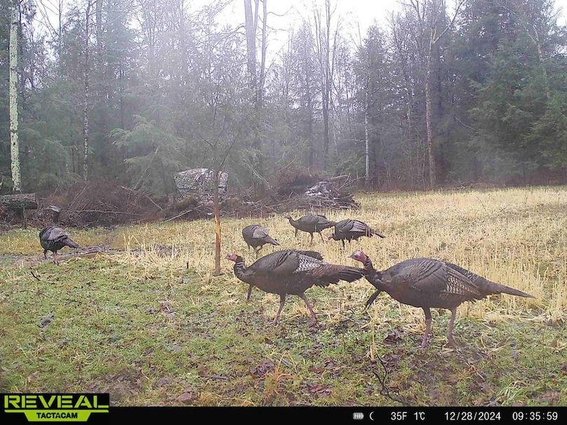 865814048724973-70-3-12282024093558-HD-W1011936