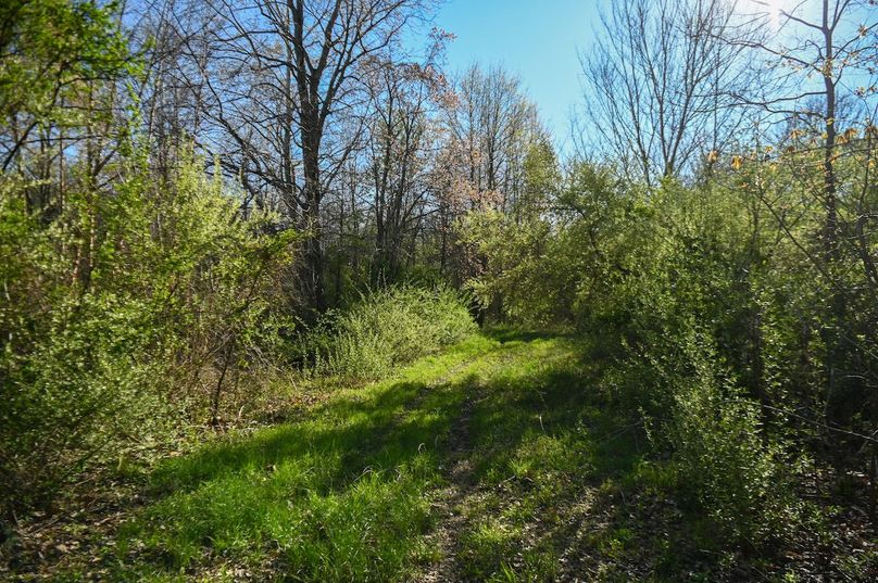 vandalia 450 (2)-2485