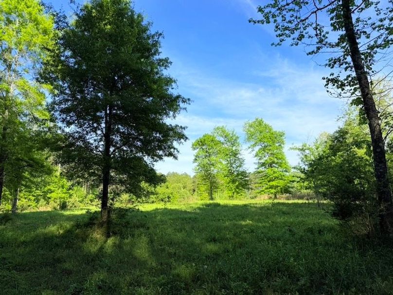 813536A6-837A-4FFF-8FF6-04FCC585A480_1_105_c