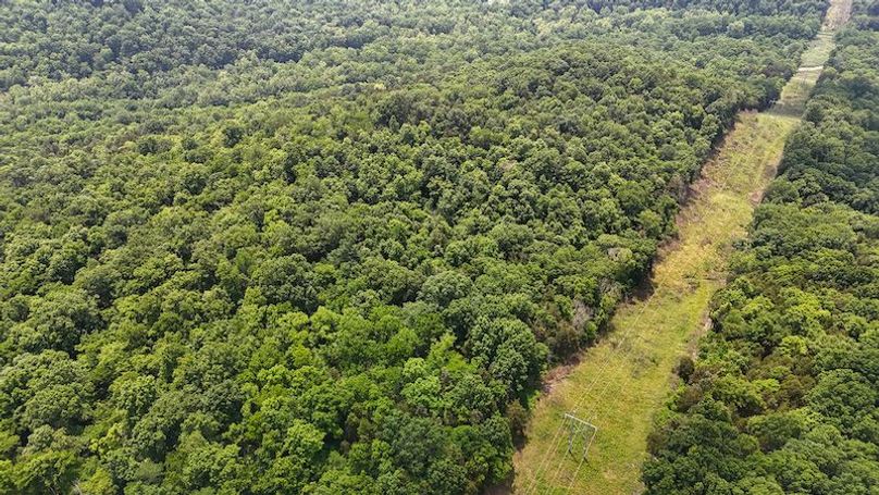 DJI_20250604132859_0018_D