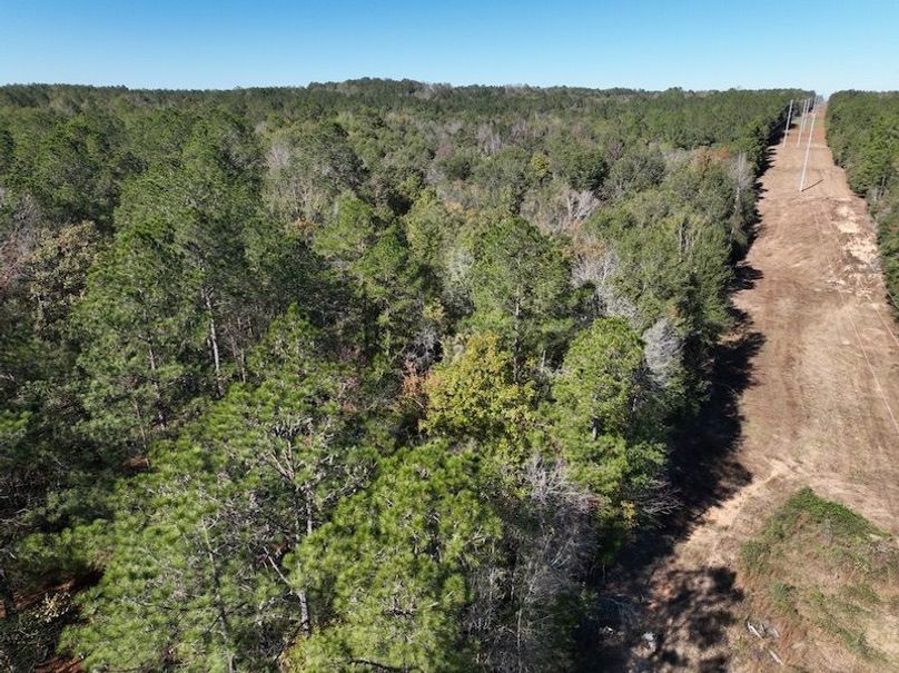 102C38B4-6A0D-4D81-B85B-C6AA3CD4613E_1_105_c