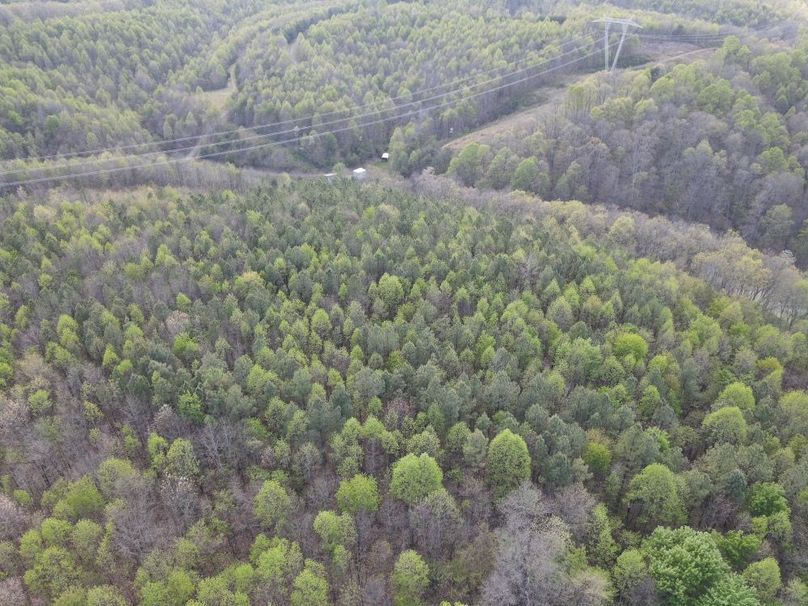 DJI_0880_W