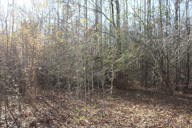 8D490070-2590-4484-8008-5F2D783D6322_1_105_c