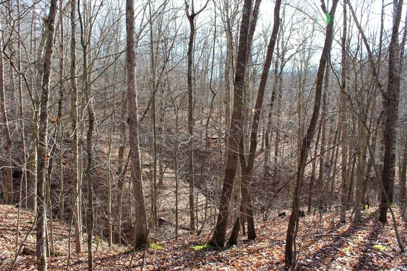 008 several small valleys joining along the eastern portion of the property