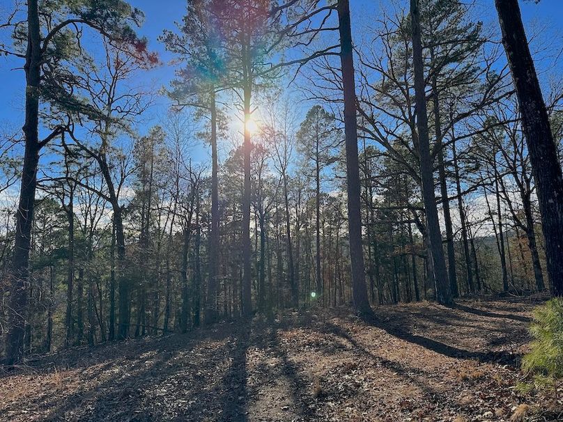 DJI_20260211_154844_128