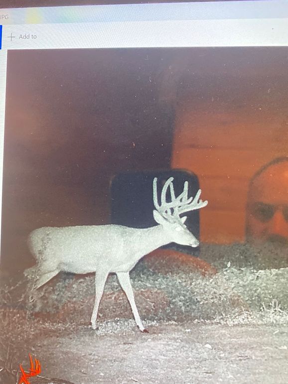 61888833943__119FCA7B-235E-4BF0-A3EB-53A59572D168