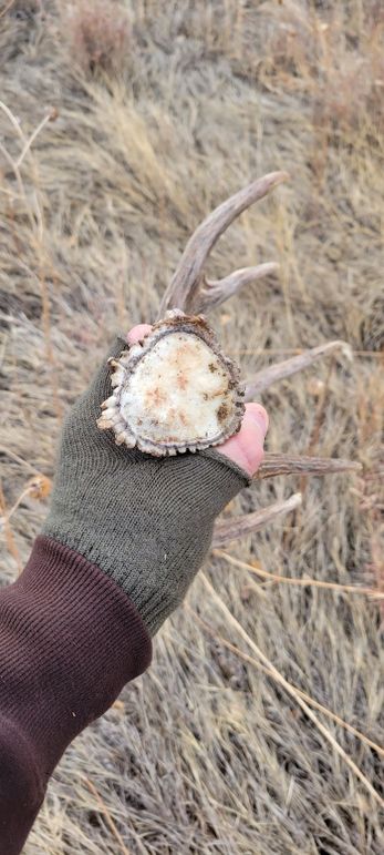 Copy of 20220206_105957