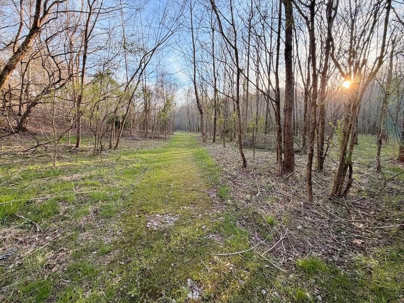 Meigs 113 NATH Homestead _111