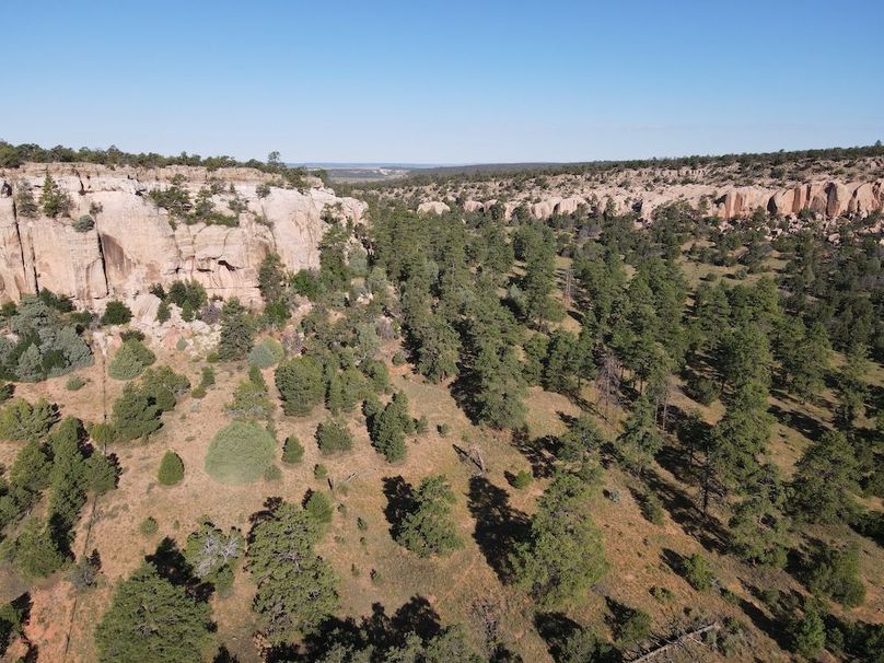 dji_fly_20240816_084828_585_1723819901529_photo