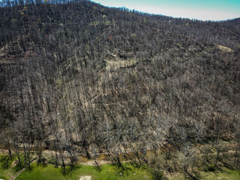 dji_fly_20230410_130904_612_1681146557721_photo