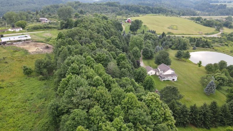 4 dji_fly_20250630_160230_71_1751313807285_photo