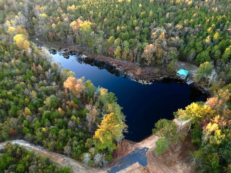 dji_fly_20251103_173530_411_1762260586605_photo