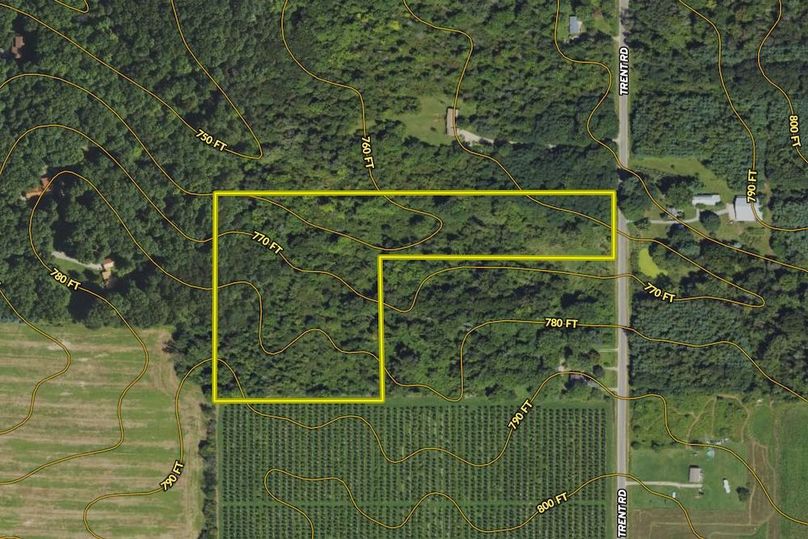 Contour Lines Haung 12