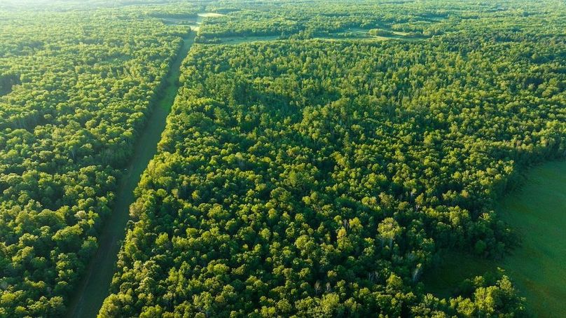 Cass MN 1095 Featured ProPhoto-74