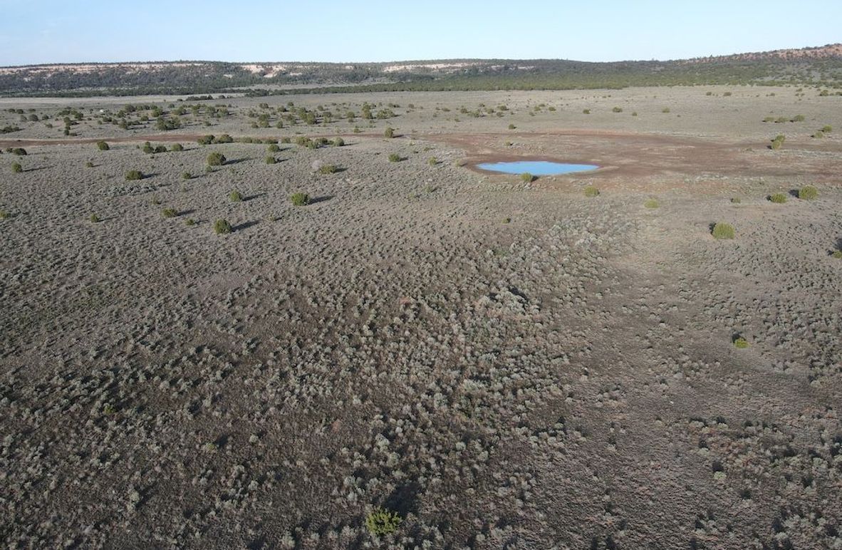 dji_fly_20240504_072542_305_1714829158451_photo