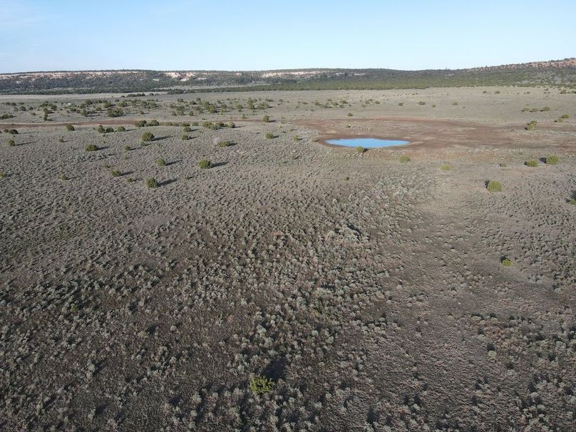 dji_fly_20240504_072542_305_1714829158451_photo