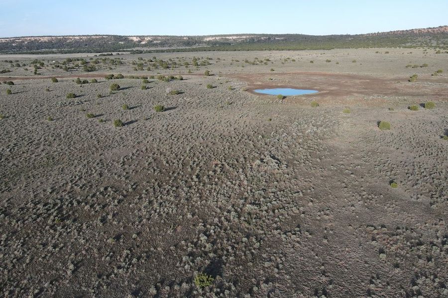 dji_fly_20240504_072542_305_1714829158451_photo
