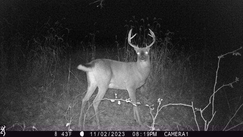 trail cam2